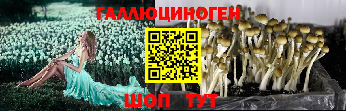 Галлюциногенные грибы Magic Shrooms Гусиноозёрск
