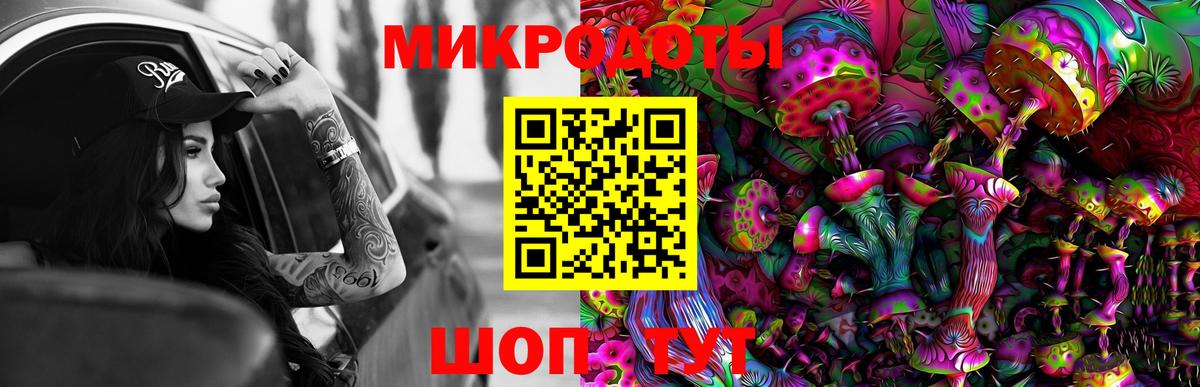 Псилоцибиновые грибы MAGIC MUSHROOMS  Вход с VPN  Гусиноозёрск 